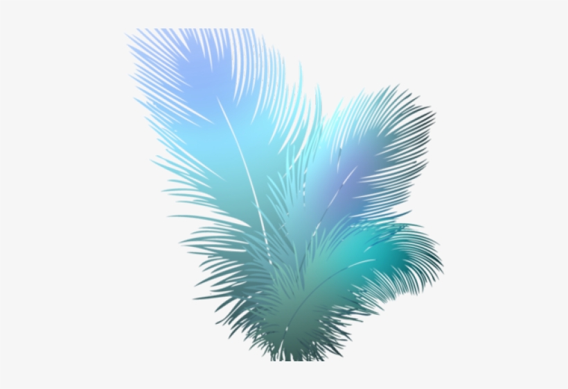 Transparent Peacock Feather Png, transparent png download