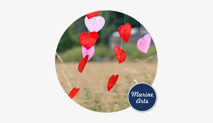 Capiz - Mobile Phone, transparent png download