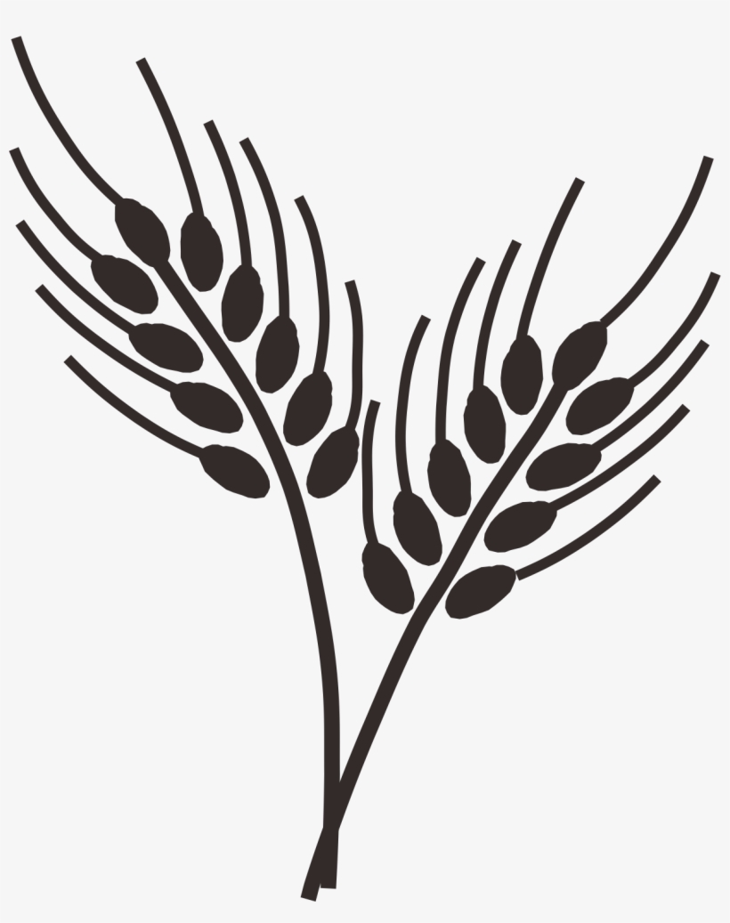 Cornfield Drawing Trigo Png Library Library - Wheat Drawing Png, transparent png download