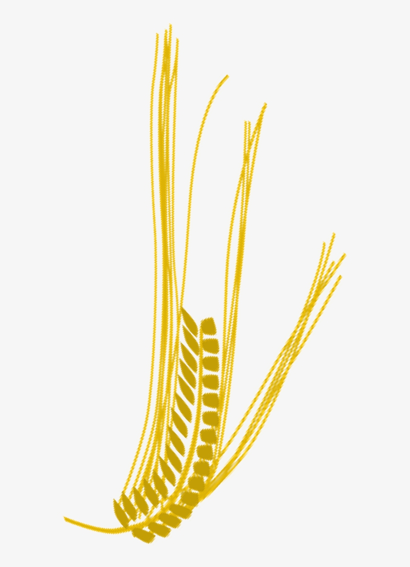 Até A Próxima - Galho De Trigo Png, transparent png download