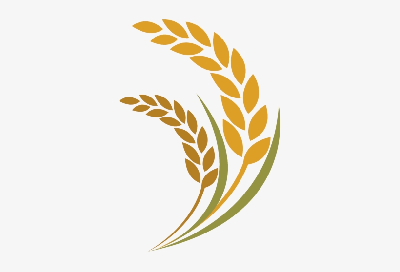 Unfortunately, An Error Occurred - Imagens Grão De Trigo, transparent png download