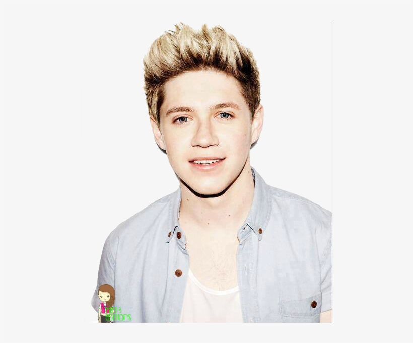 Niall Horan Png Tumblr - Zayn Top Liam Bottom, transparent png download