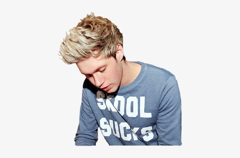 Transparent Niall - Niall Horan Blue Hair, transparent png download