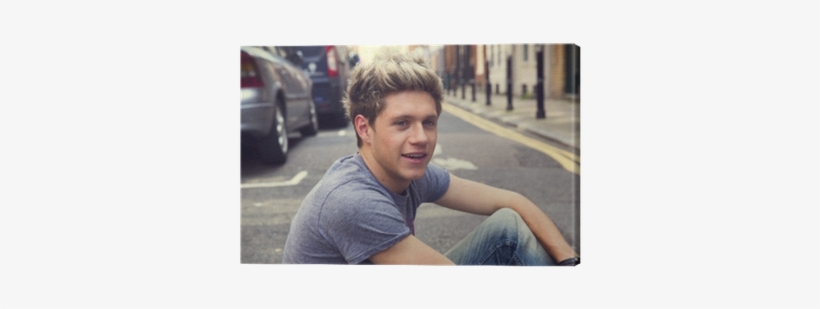 Niall Horan, transparent png download