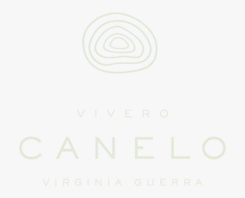 Imagotipo Verde - Circle, transparent png download