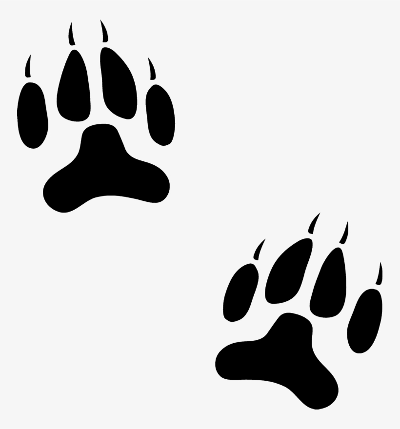 Dog Paw Prints Stamp - Tracker Dog Prints, transparent png download