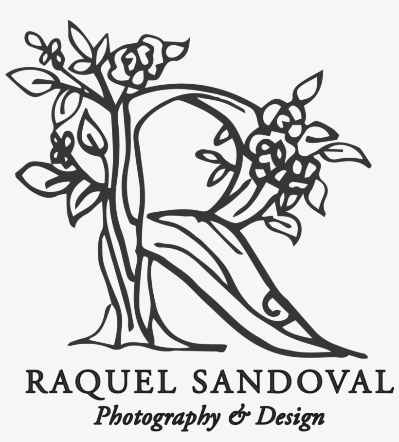 Clipart Freeuse Download Raquel Sandoval Photography - Photography, transparent png download