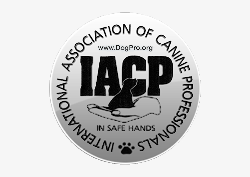 Paw & Order Dog Training Is Veteran Owned - International Association Of Canine Professionals, transparent png download