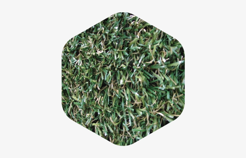 Bermuda - Kagoshima, transparent png download