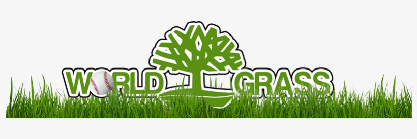 Pasto Sintetico - Wg - - Artificial Turf, transparent png download