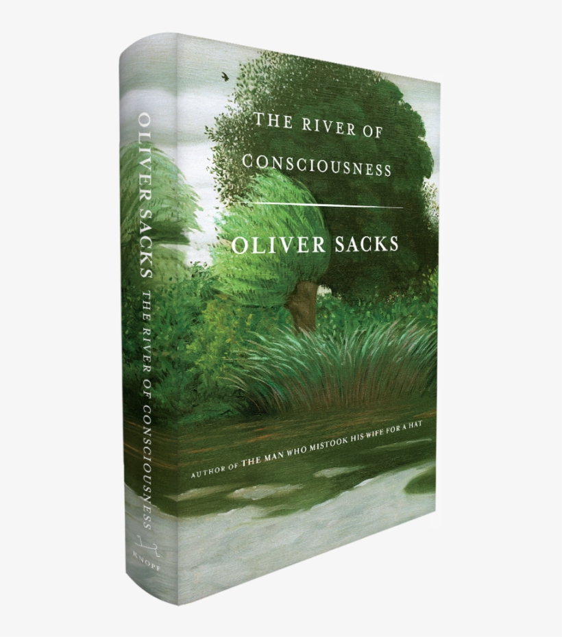 Book-spine - River Of Consciousness - Hardcover, transparent png download
