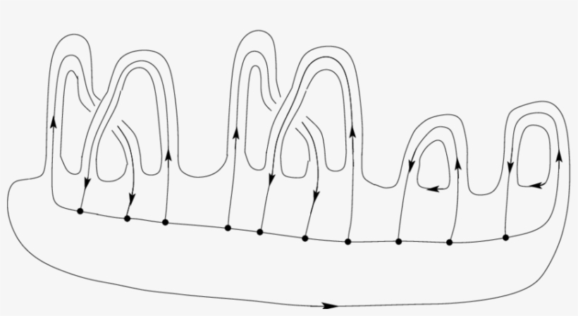 The Surface Σ 2,3 And The Spine P 2,3 - Calligraphy, transparent png download