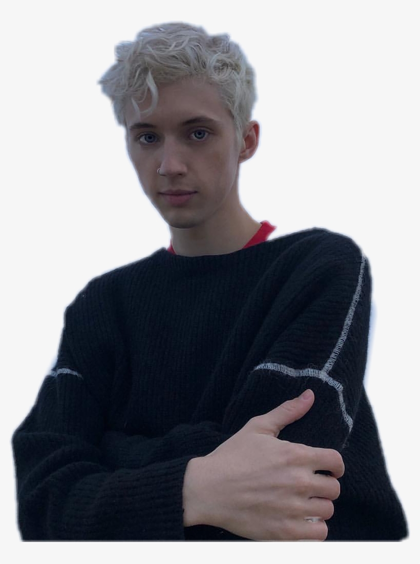Report Abuse - Troye Sivan Wonderland, transparent png download