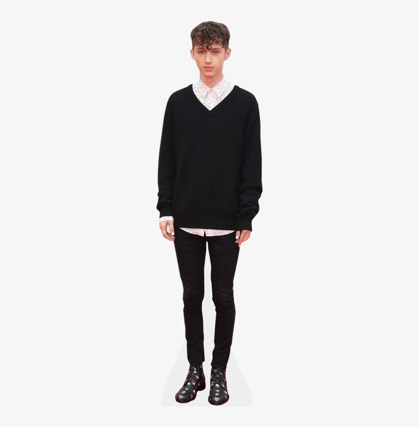 Troye Sivan Cardboard Cutout, transparent png download