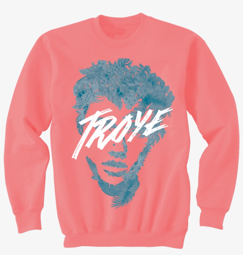 Pitch For Troye Sivan's 2016 Tour - Ariana Grande Sweatshirt Merchandise, transparent png download