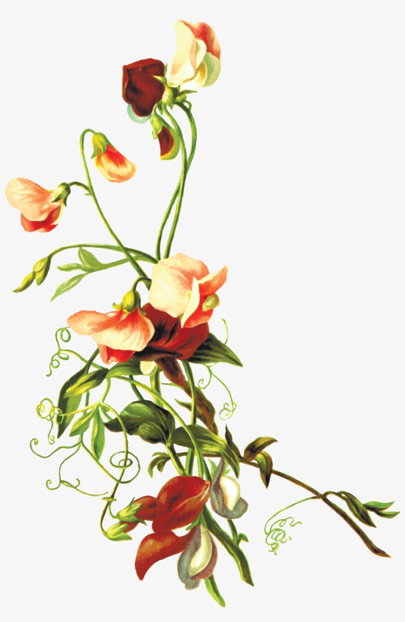 , , - Flower With Leaves Png, transparent png download