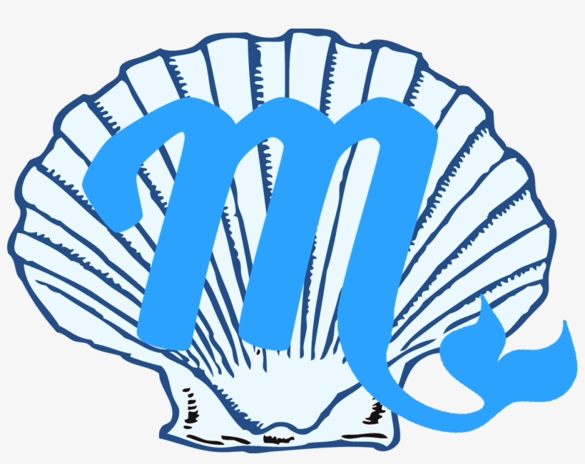 Discovering Misty Books - Shell Clip Art, transparent png download