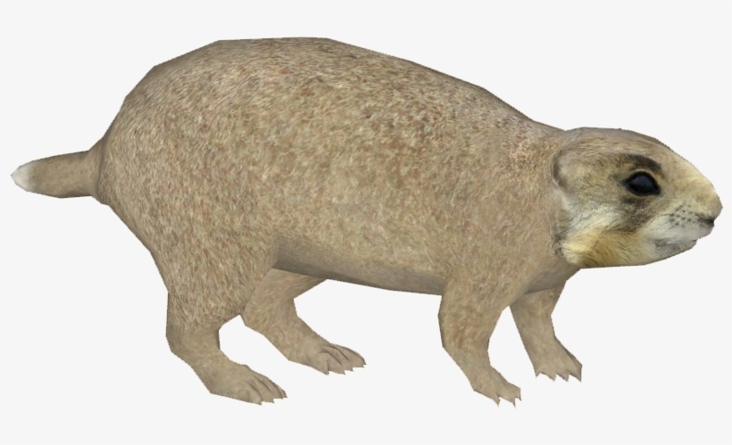 Utah Prairie Dog - Lion, transparent png download