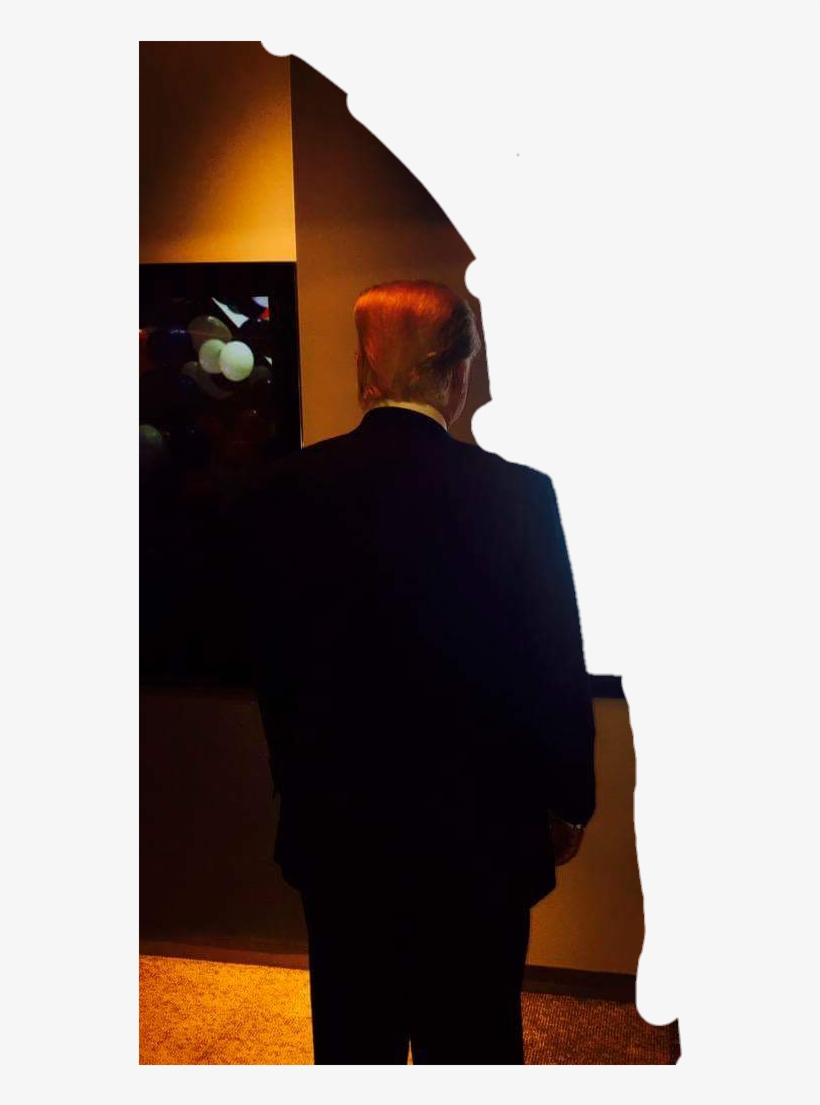 Shitpostbot - Gorilla, transparent png download