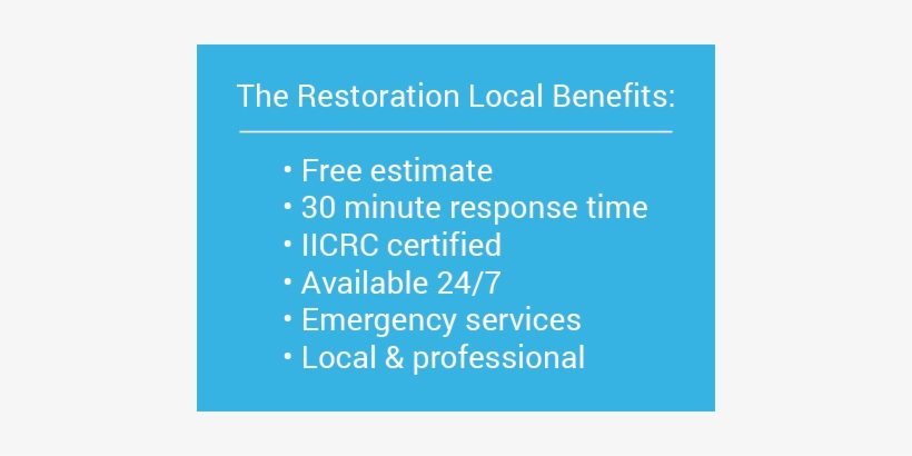 Fire Damage Restoration - Indoor Mold, transparent png download