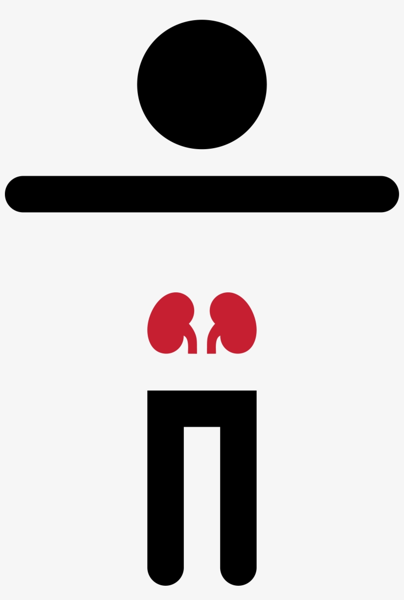 Kidneyman - Graphic Design, transparent png download