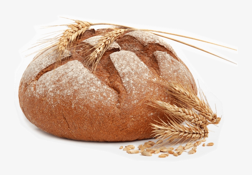 Book Now - Que Es Literalmente Ejemplo, transparent png download