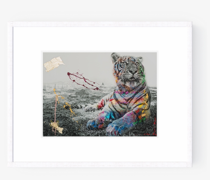 Photographs - I M Not A Trophy By Arno Elias, transparent png download