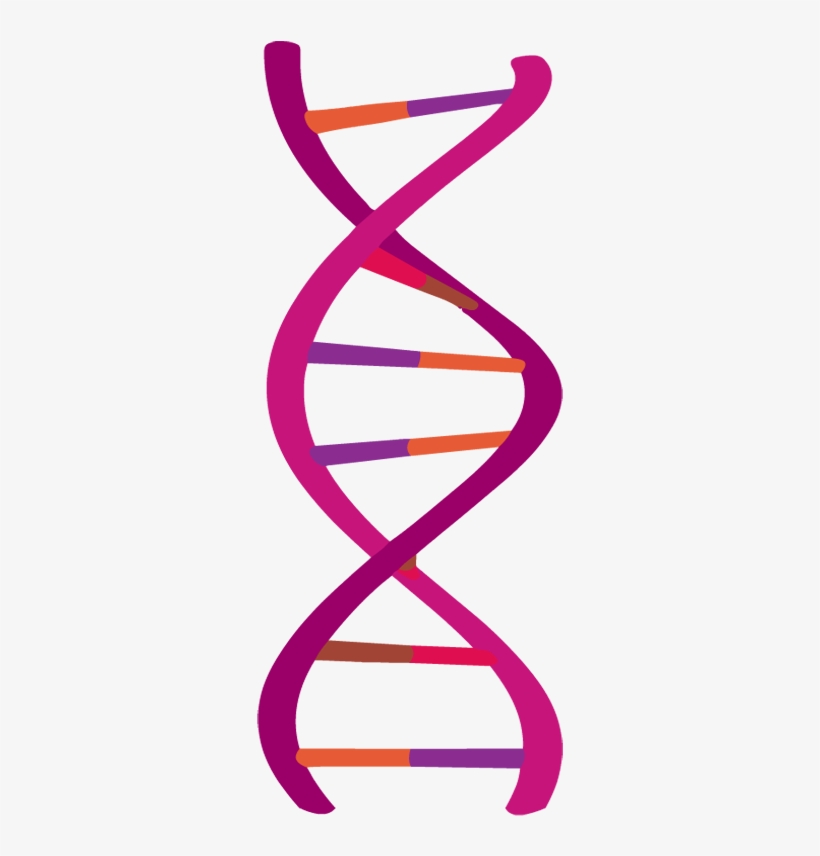 Dna, transparent png download