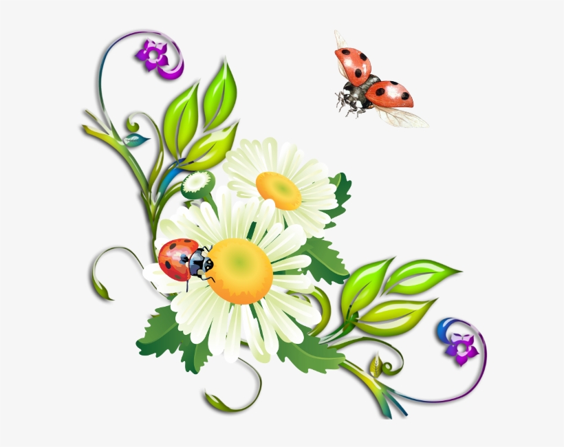 Яндекс - Фотки - Green Corner Flower Frame Gif, transparent png download