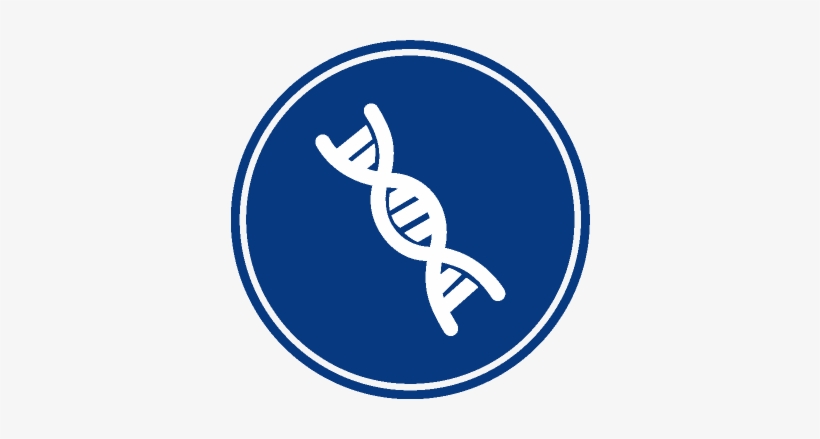 Dna Testing & Pharmacogenetics - Clip Art, transparent png download