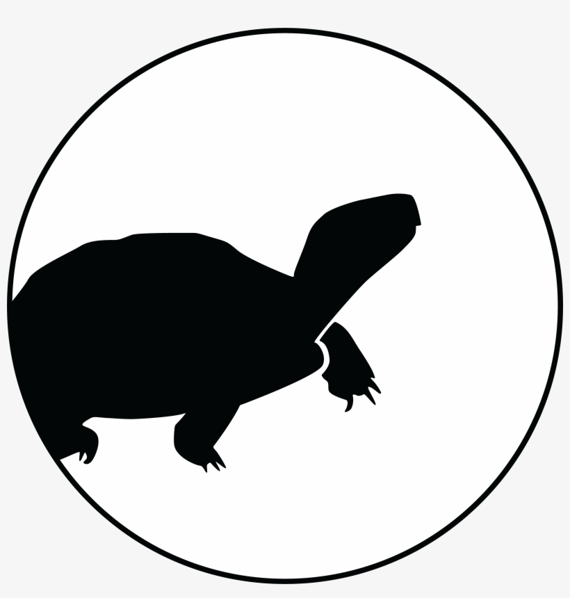 Rosalinda Palomo-ramos And Gamaliel Castañeda Gaytán - Tortoise, transparent png download