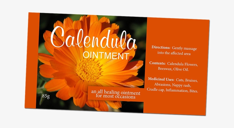 Bill Cipher Png - English Marigold, transparent png download