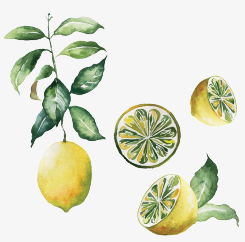 Scandinavia Poster Lemon Watercolor Painting - Lemon Design, transparent png download