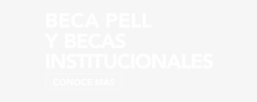 Universidad Interamericana De Puerto Rico - Poster, transparent png download