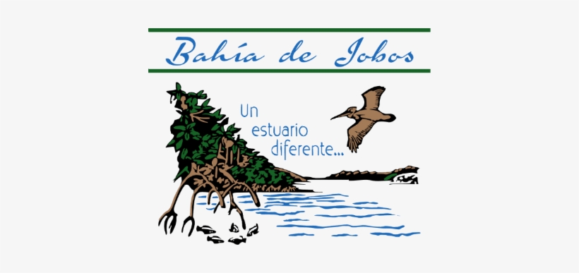 Gobierno De Puerto Rico - Seabird, transparent png download