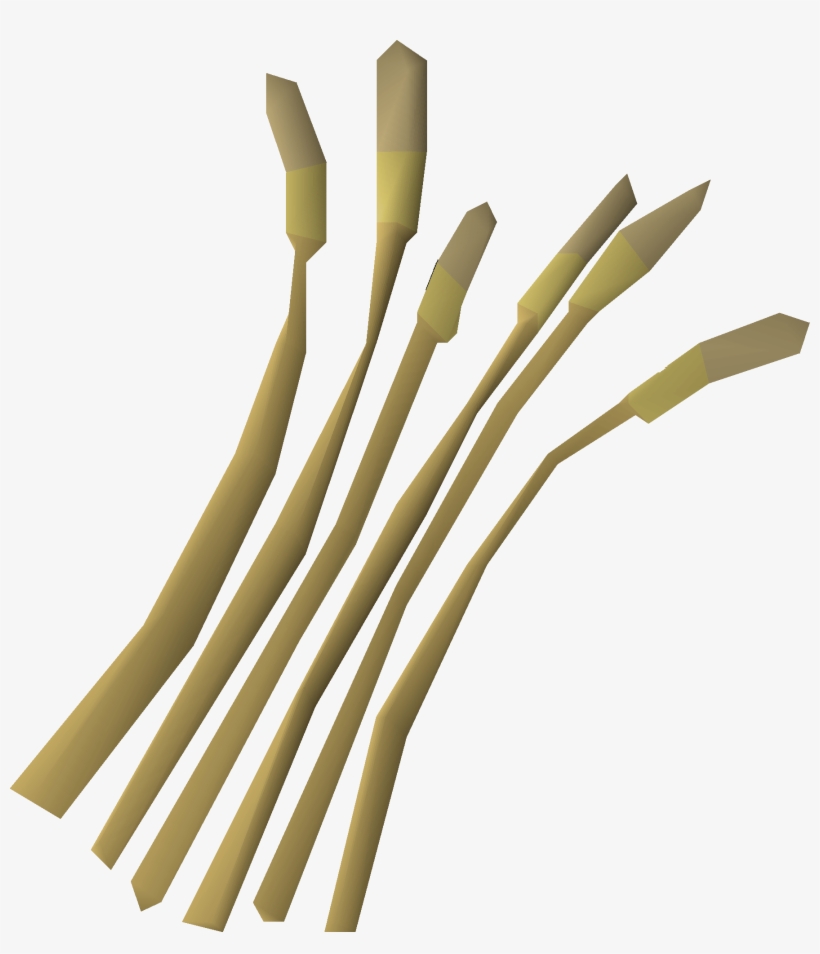 Barley Detail - Barley, transparent png download