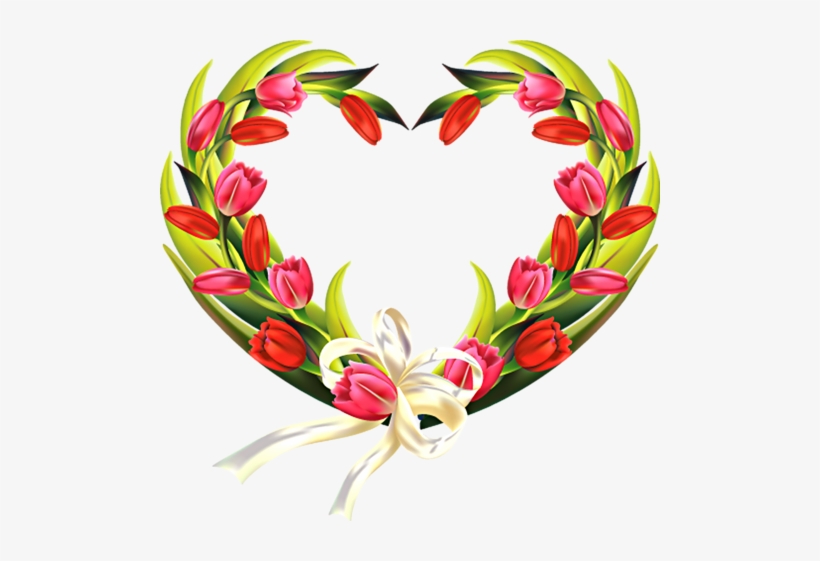 14 - Tulips, transparent png download