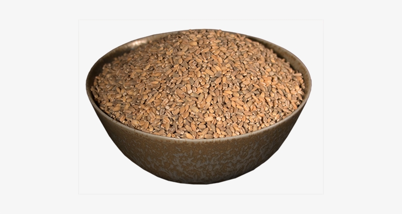 Barley, Semi-pearled, Streaker - Barley, transparent png download