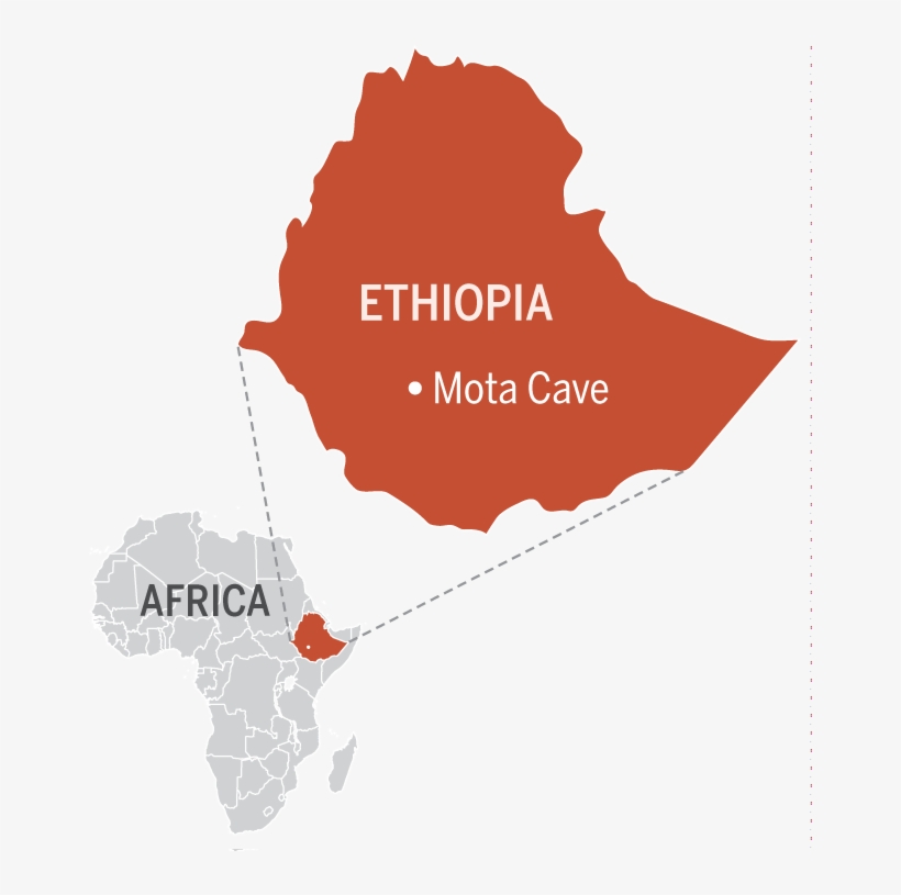 Researchers Sequenced The Genome Of A 4500 Year Old - Black Ethiopia Map, transparent png download