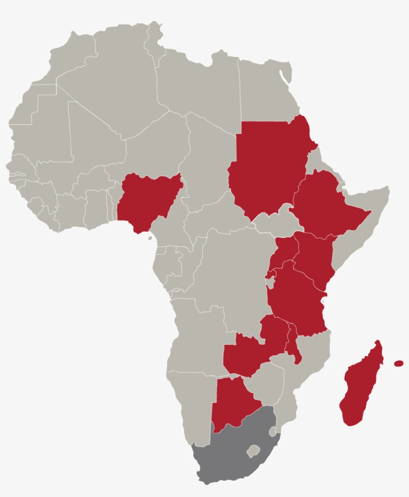Africa-map - Liberia In Africa Map, transparent png download
