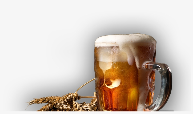 The Oak Old World Draught Haus Mandeville - National Beer Drinking Day 2018, transparent png download