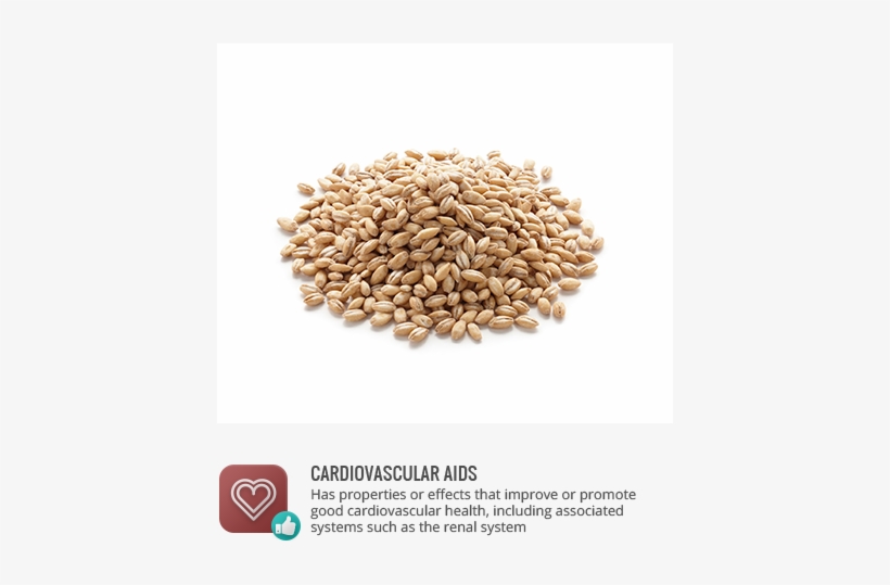 Antioxidants - Uses Of Dates Fruit In Tamil By Prophet Muhammad, transparent png download