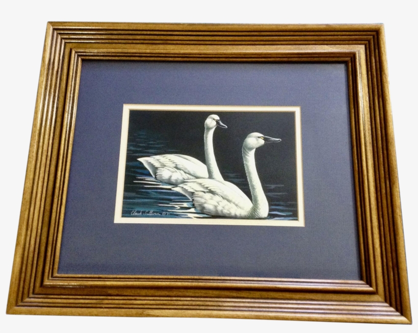 Clark Sullivan Waterfowl White Swans On A Lake Oil - Oil Painting, transparent png download