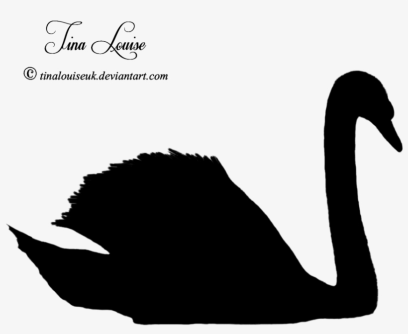 Duck Goose Silhouette Black Swan Clip Art - Cygnini, transparent png download