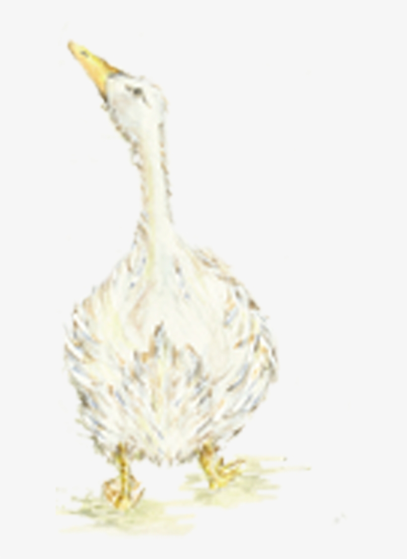 View Larger Image - Goose, transparent png download