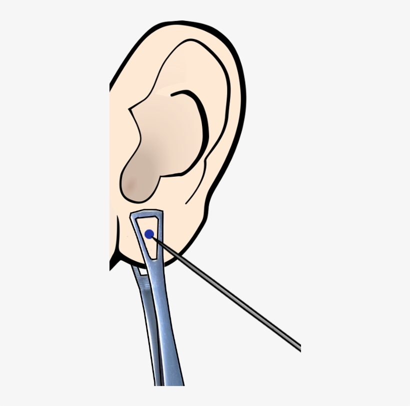 Piercing Ear Clipart - Ear, transparent png download