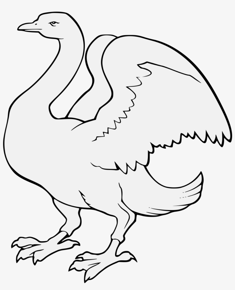 Details, Png - Goose, transparent png download