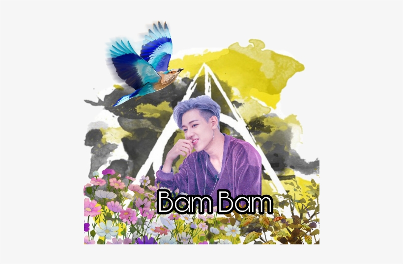 Vintage Photography, transparent png download