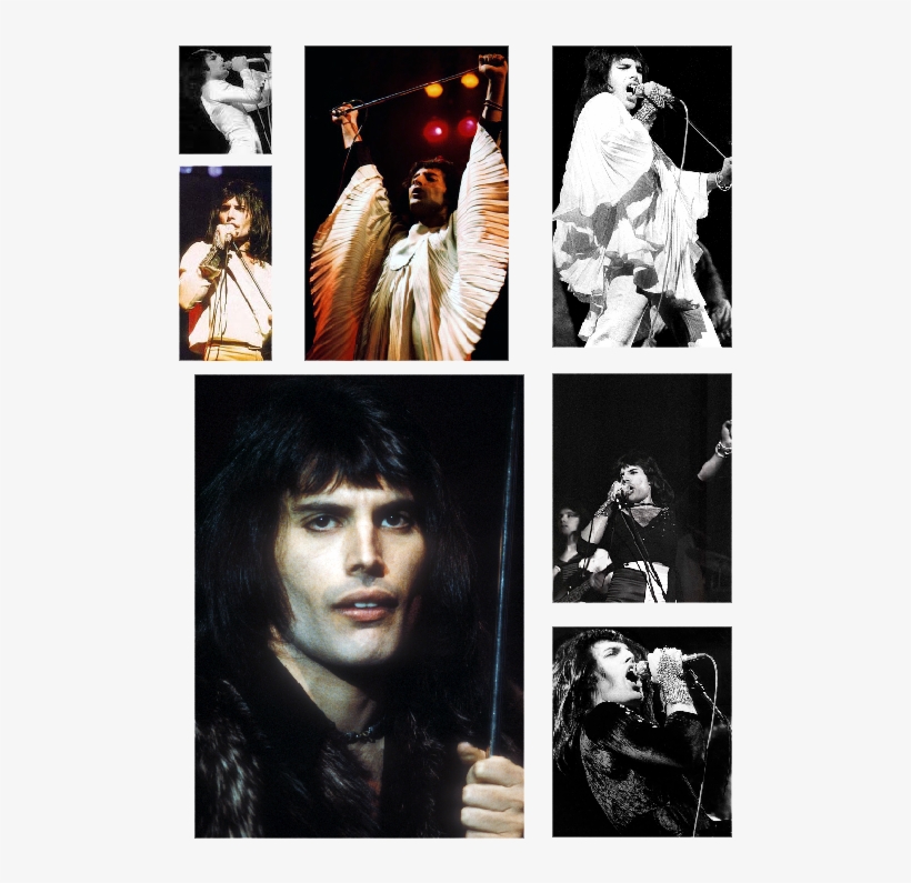 Rogerina Taylor - Freddie Mercury, transparent png download
