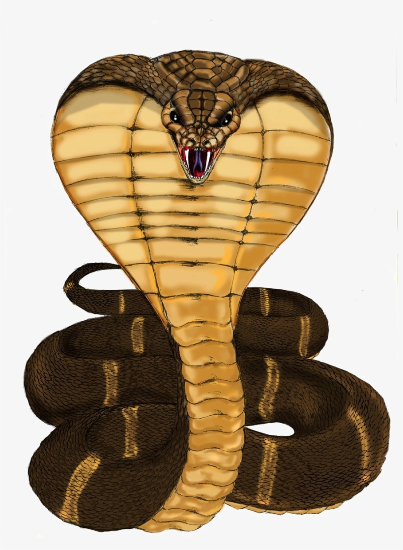 King Cobra Drawings Clipart Snakes King Cobra Clip - Hình Rắn Hổ Mang, transparent png download